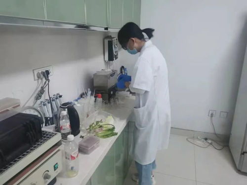 四大農貿市場抽檢結果公布，36批次食用農產品安全有保障
