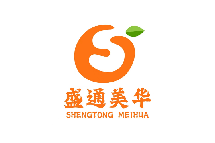 四川盛通美華教育咨詢 以信息技術(shù)賦能教育未來(lái)